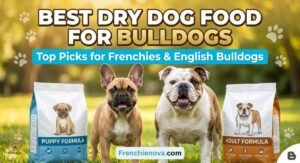 Best Dry Dog Food for Bulldogs: Top Picks (2026)