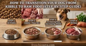 How to Transition Your Dog From Kibble to Raw Food (Step-by-Step Guide)
