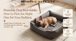 Frenchie Dog Bed Guide: How to Pick the Right One for Your Bulldog